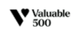 Valuable 500 member