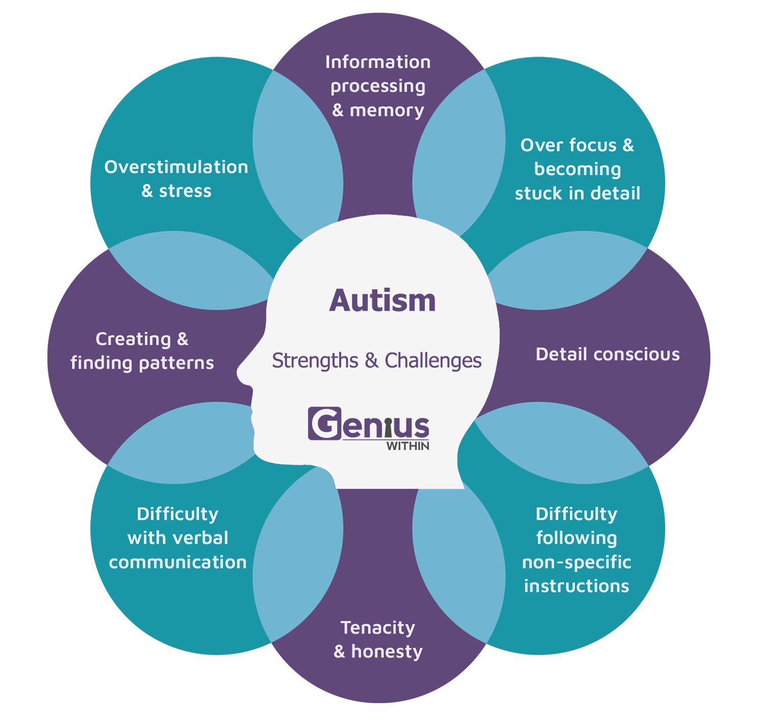 Info graphic with head at the centre and overlapping text bubbles in a circle around it. Title reads: Autism, stengths and challenges. The strengths and challenges are listed as follows; information processing and memory, over focus and becoming stuck in detail, detail conscious, difficulty following non-specific instructions, tenacity and honesty, difficulty with verbal communication, creating and finding patterns, overstimulation and stress.