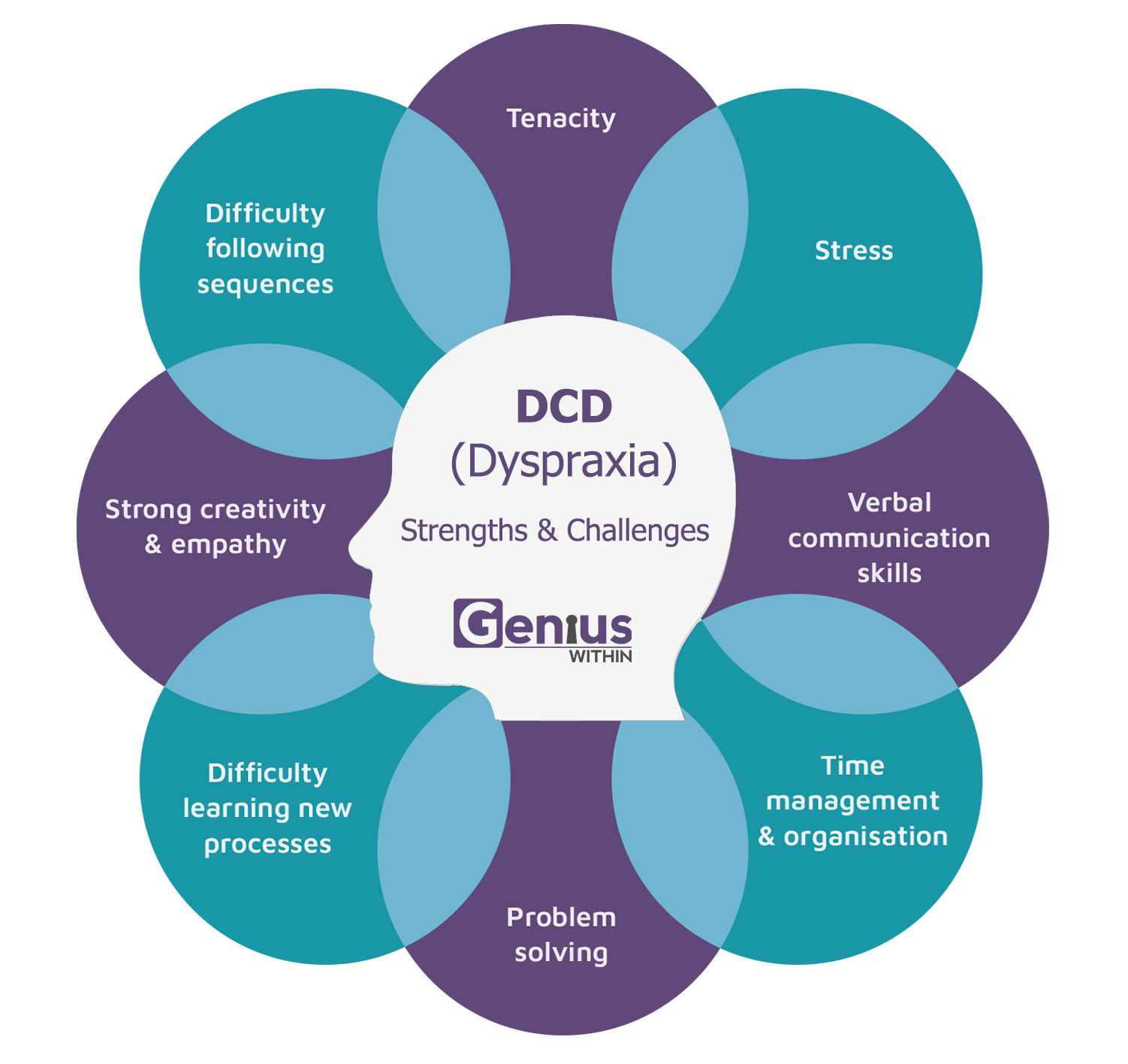 Info graphic with head at the centre and overlapping text bubbles in a circle around it. Title reads: DCD (dyspraxia) strengths and challenges. The strengths and challenges are listed as follows; Tenacity, stress, verbal communication skills, time management and organisation, problem solving, difficulty learning new processes, strong creativity and empathy, difficulty following sequences.