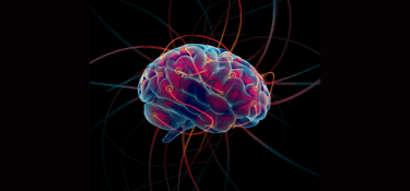 Multicoloured graphic of a brain with a black background