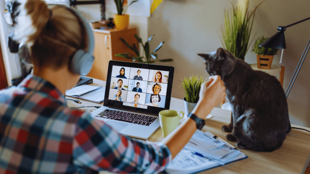 person working from home at their laptop while a cat sits next to them.