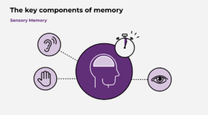 Screenshot of eLearning course with the title screen of They Key Components of Memory